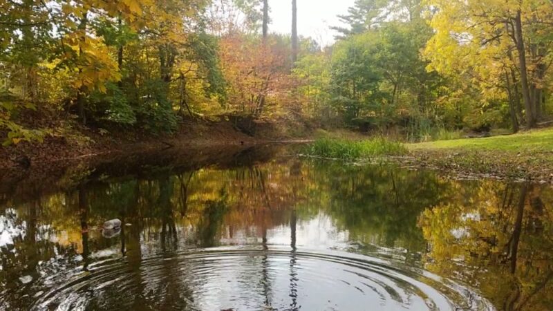 Wooster Grove - Walden, NY