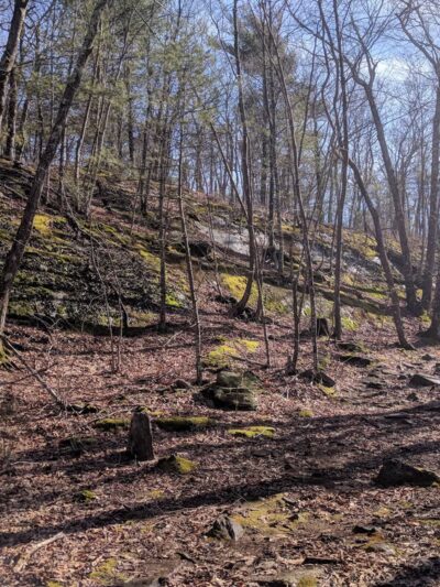 MWB Trail - Wales, MA