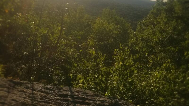 MWB Trail - Wales, MA