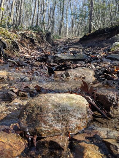 MWB Trail - Wales, MA
