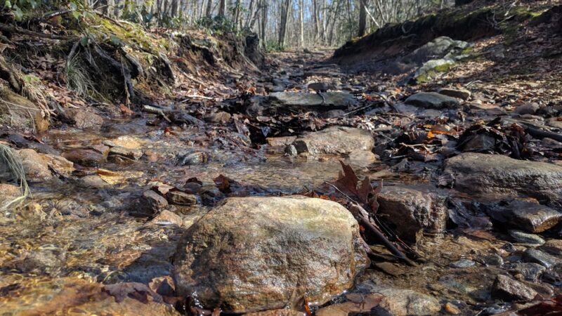 MWB Trail - Wales, MA