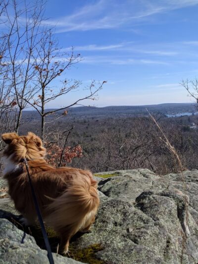 MWB Trail - Wales, MA
