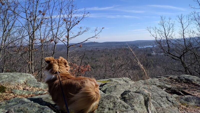 MWB Trail - Wales, MA