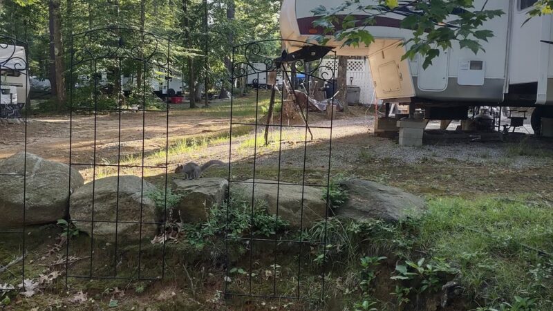 Oak Haven Campground - Wales, MA