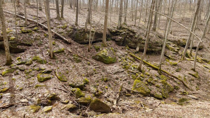 Mountwood Park - Walker, WV