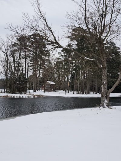 Little pond loop trail - Wallace, NC
