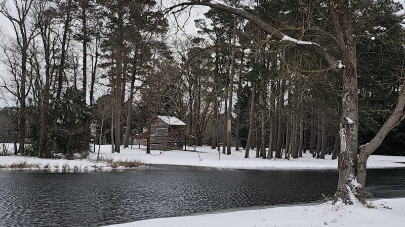 Little pond loop trail - Wallace, NC