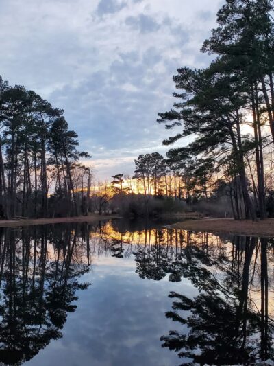 Little pond loop trail - Wallace, NC