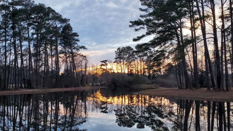 Little pond loop trail - Wallace, NC