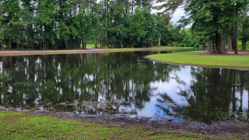 Little pond loop trail - Wallace, NC