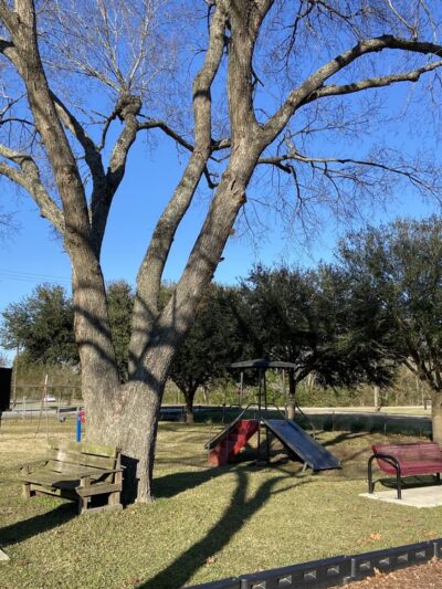 Daikin Park - Waller, TX