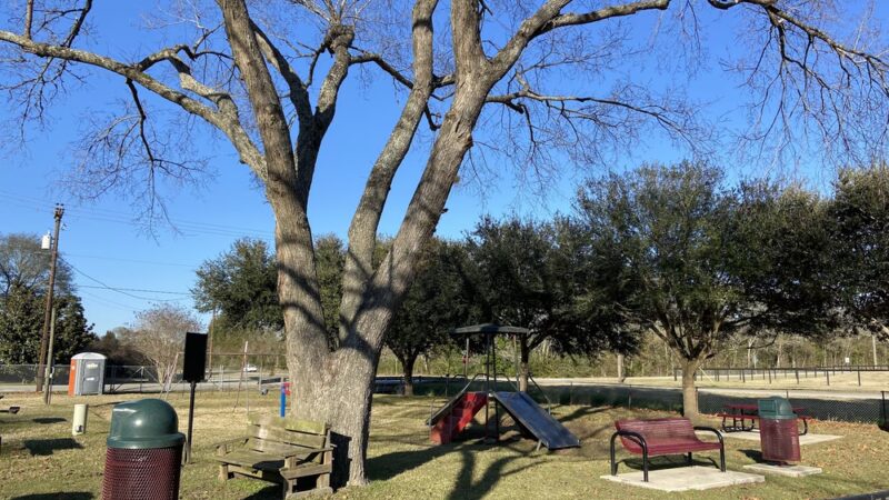 Daikin Park - Waller, TX