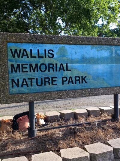 Wallis Memorial Nature Park - Wallis, TX