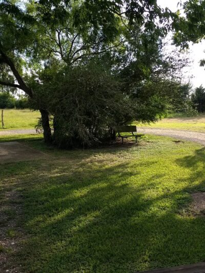 Wallis Memorial Nature Park - Wallis, TX