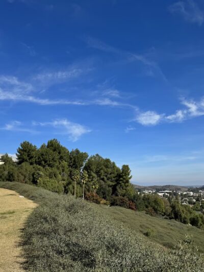 Country Hollow Park - Walnut, CA