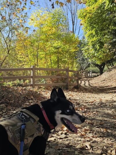Country Hollow Park - Walnut, CA