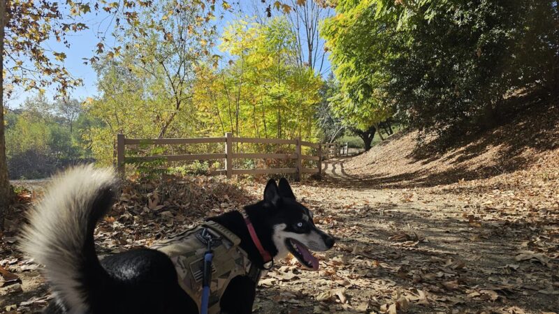 Country Hollow Park - Walnut, CA