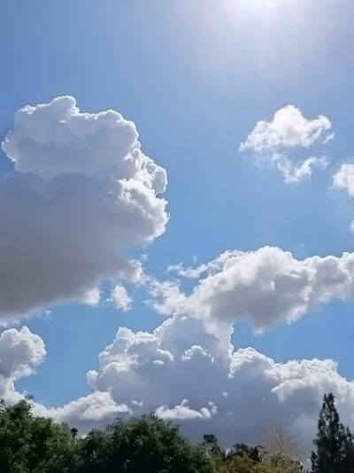 Heidelberg Park - Walnut, CA