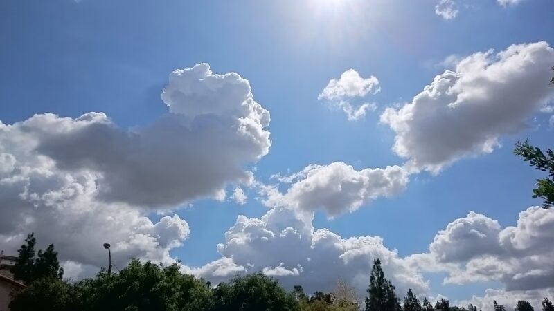 Heidelberg Park - Walnut, CA