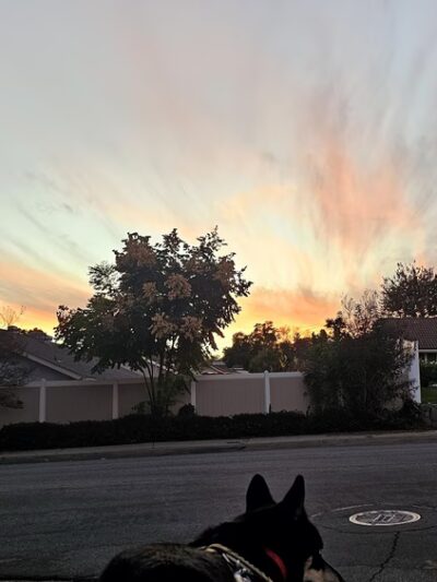 Heidelberg Park - Walnut, CA