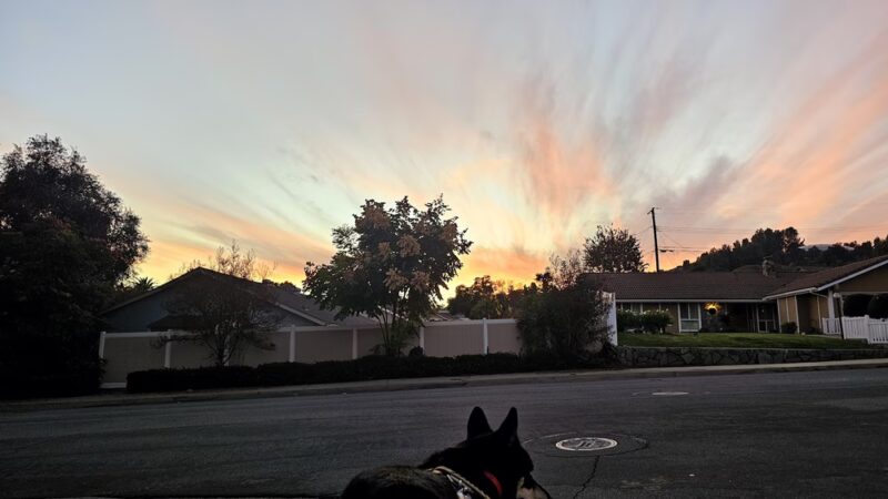 Heidelberg Park - Walnut, CA
