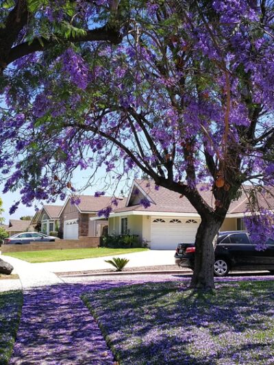 Heidelberg Park - Walnut, CA
