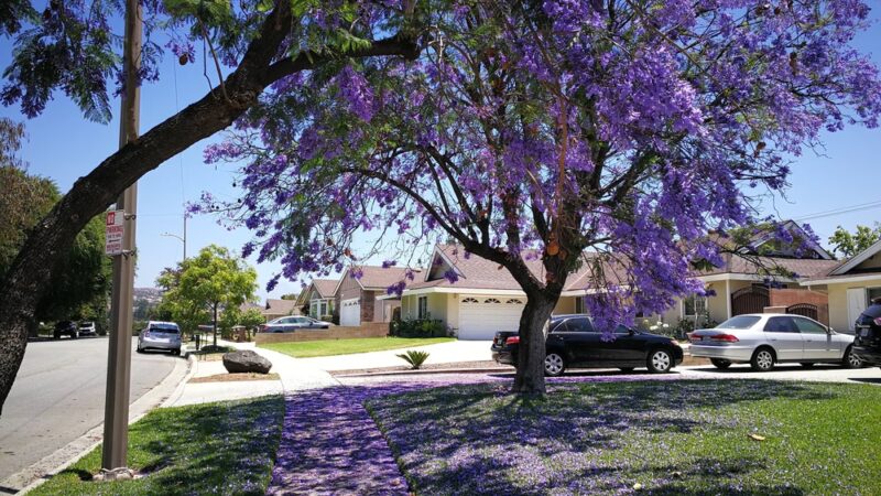 Heidelberg Park - Walnut, CA