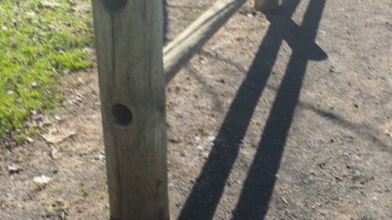 Snow Creek Park - Walnut, CA