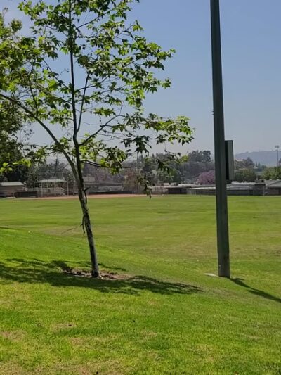 Suzanne Park - Walnut, CA