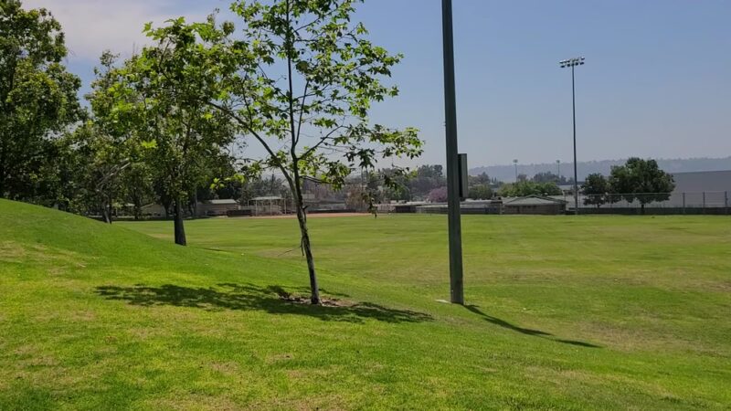 Suzanne Park - Walnut, CA