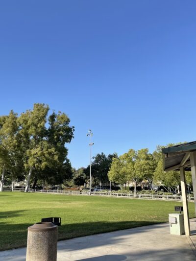 Suzanne Park - Walnut, CA