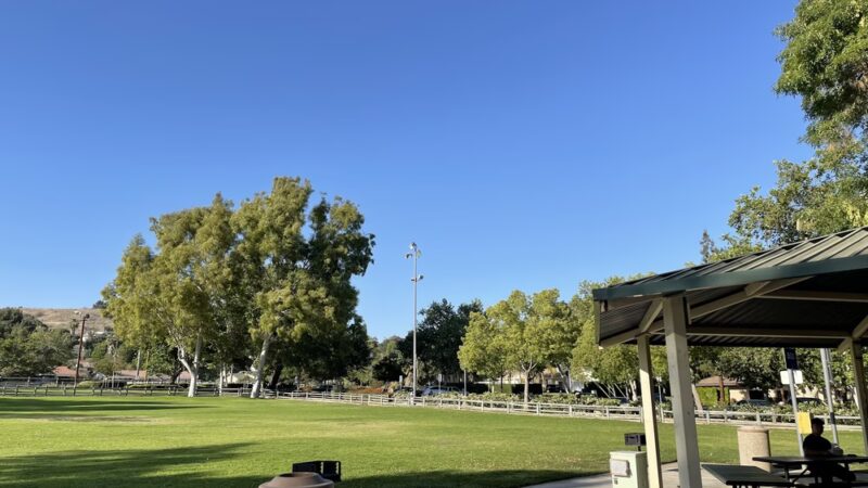 Suzanne Park - Walnut, CA