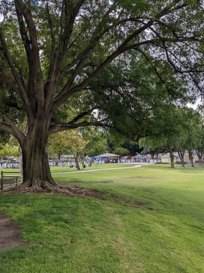 Suzanne Park - Walnut, CA