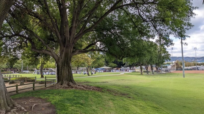 Suzanne Park - Walnut, CA