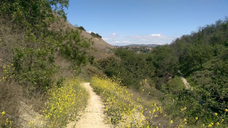 Walnut Ranch Park - Walnut, CA
