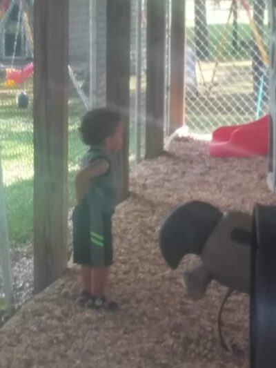 Walnut Grove Park - Walnut Grove, AL