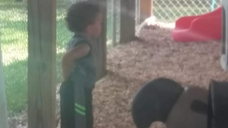 Walnut Grove Park - Walnut Grove, AL