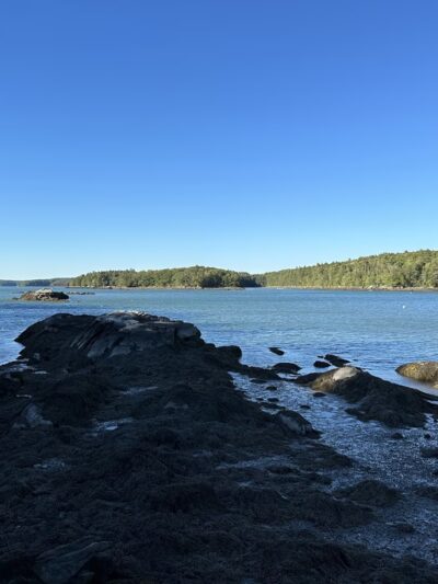 Plummer Point Preserve - Walpole, ME