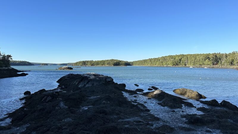 Plummer Point Preserve - Walpole, ME