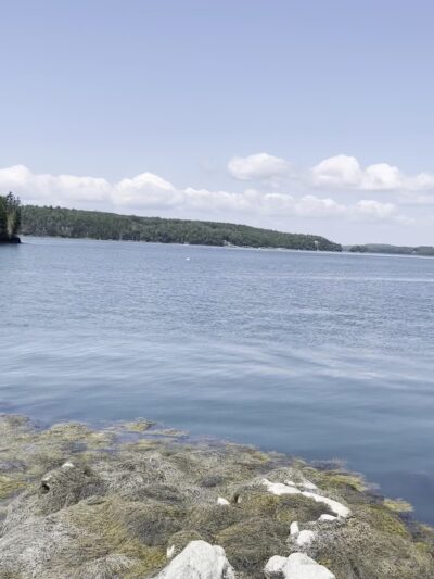 Plummer Point Preserve - Walpole, ME