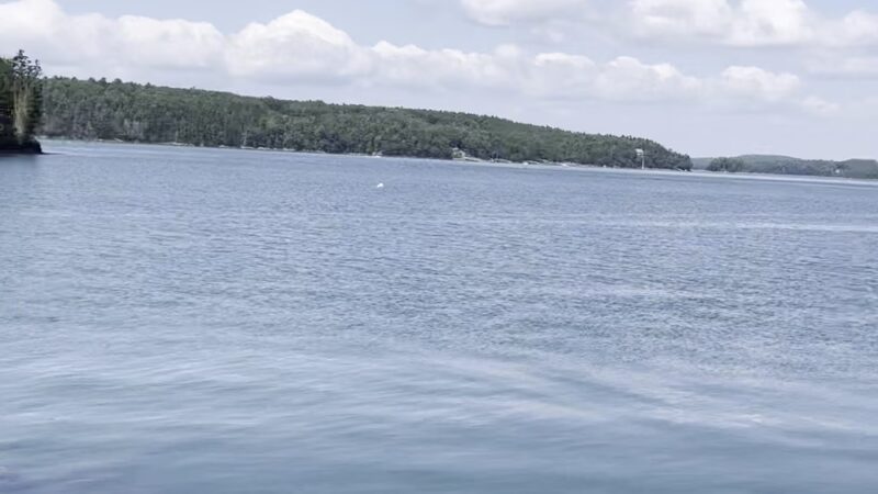 Plummer Point Preserve - Walpole, ME