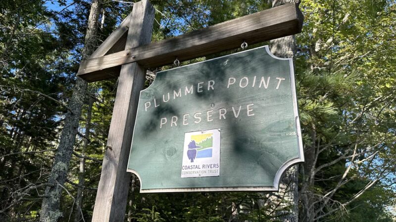 Plummer Point Preserve - Walpole, ME