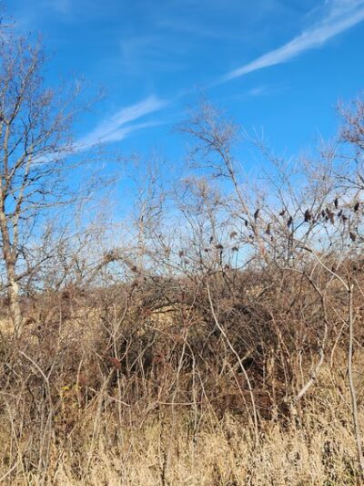 Walton Trailhead - Walton, NE