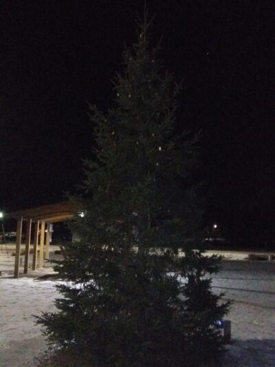 The Walton Veterans Plaza Park Place - Walton, NY