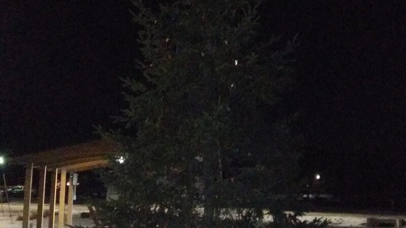 The Walton Veterans Plaza Park Place - Walton, NY