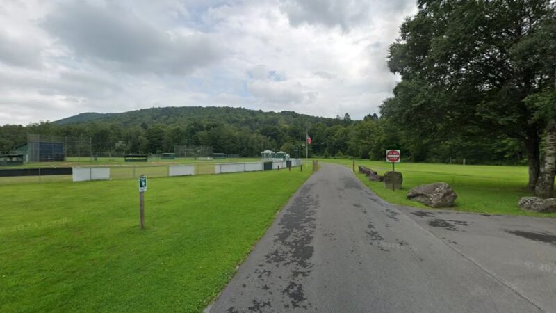 Walton Town Dog Control - Walton, NY