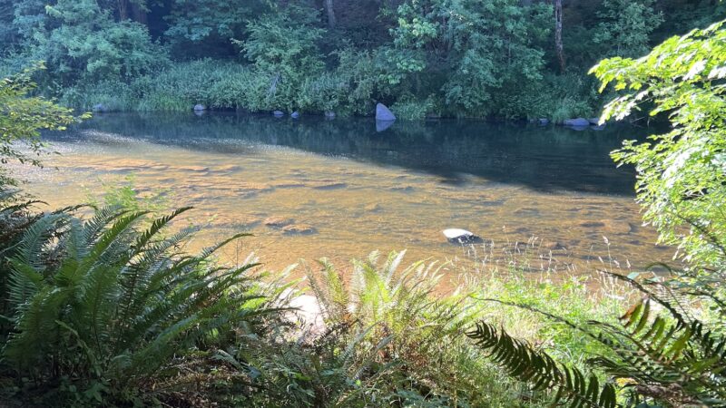 Linslaw Park - Walton, OR