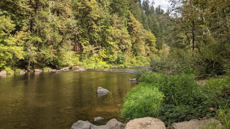 Linslaw Park - Walton, OR