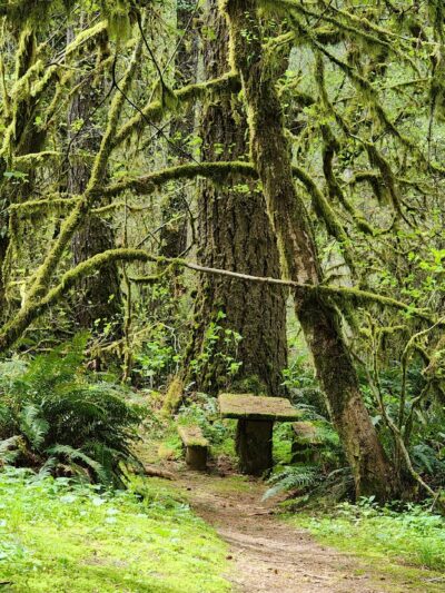 Linslaw Park - Walton, OR