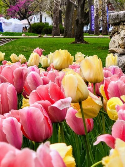 Wamego City Park - Wamego, KS